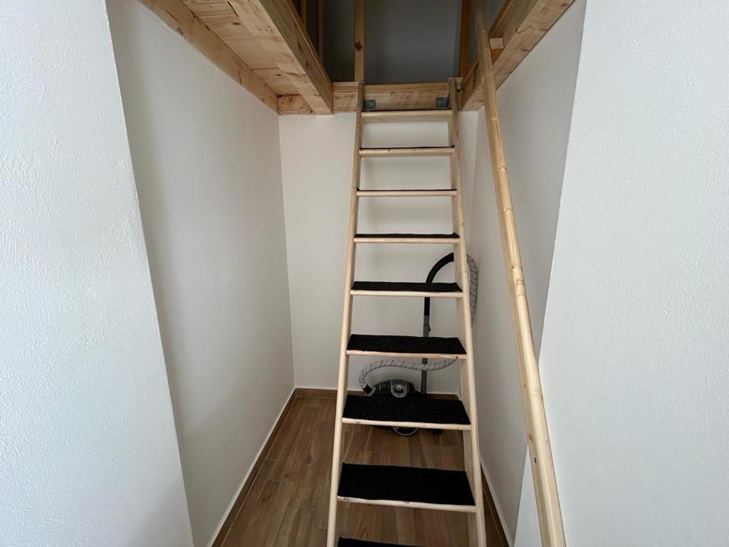 Casaaury & Casasimy Apartment Napoli Bagian luar foto
